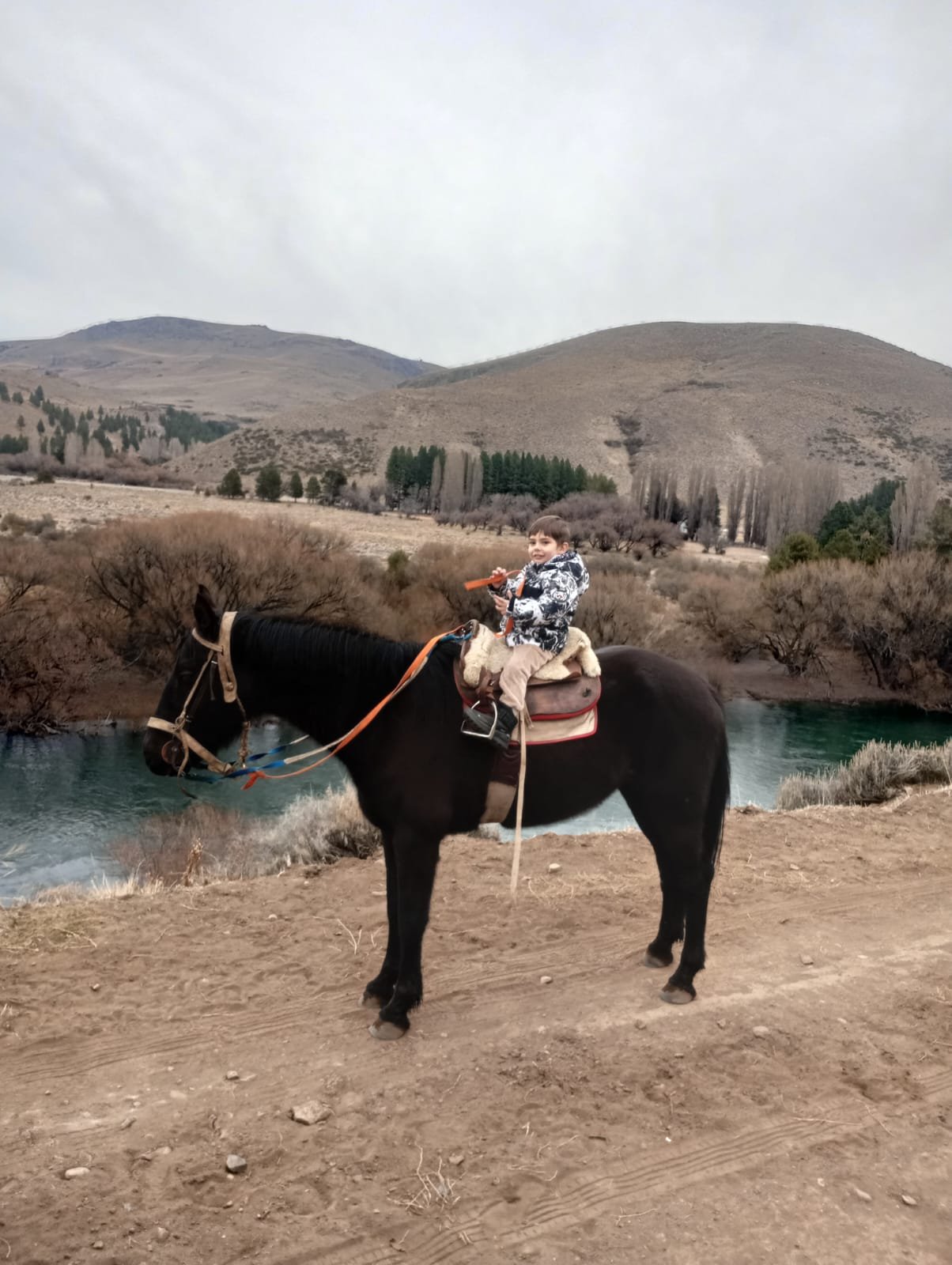 foto de niÑo en cabalgata