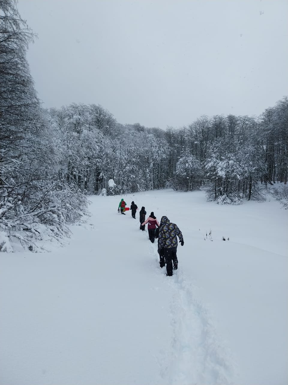 Nieve al Límite Cordillera Bariloche