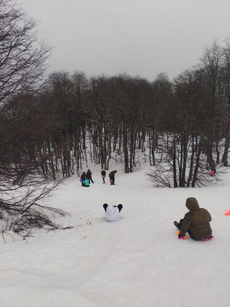 Familias jugando en la nieve - Paso Samoré