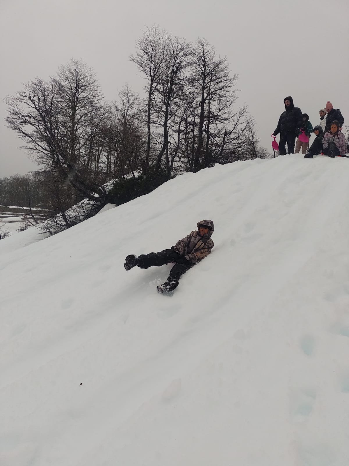 Trineos en la nieve - Nieve al Límite Bariloche